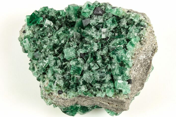 Fluorescent Green Fluorite w/ Galena - Diana Maria Mine, England #208883